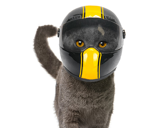 Cute Stylish Pet Motorcycle Helmet for Cat or Puppy!